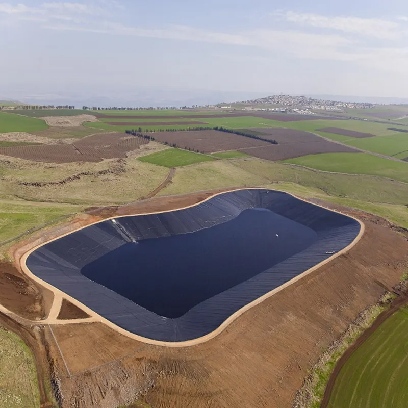 Geomembrane for landfill applications