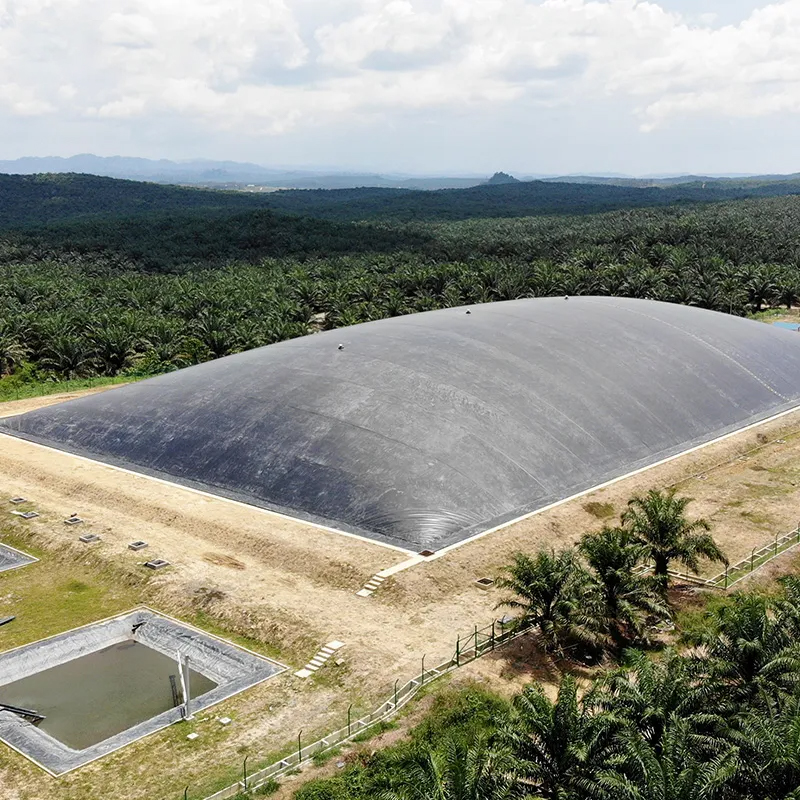 Geomembrane for landfill applications