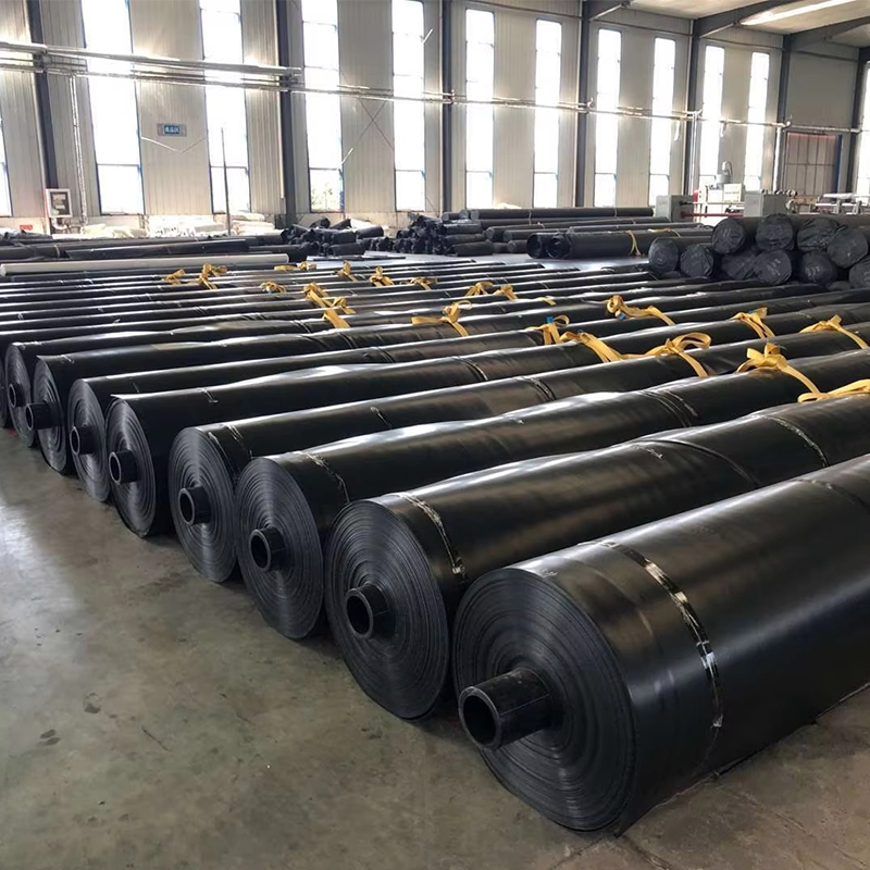 Geomembrane for dam lining