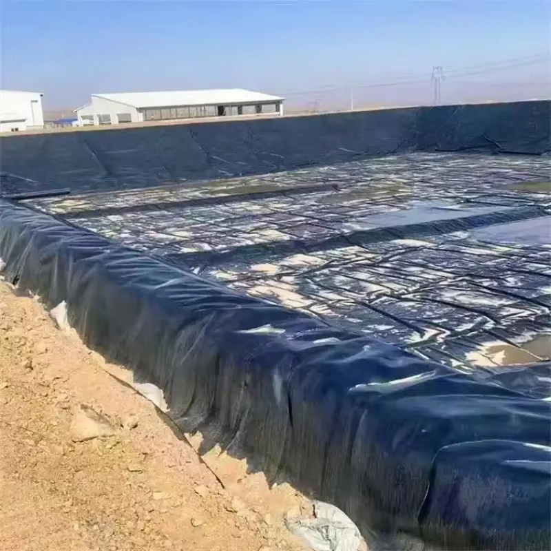 Geomembrane for dam lining
