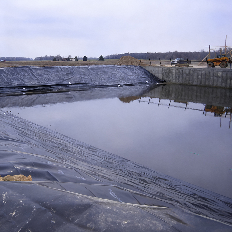 Geomembrane for dam lining