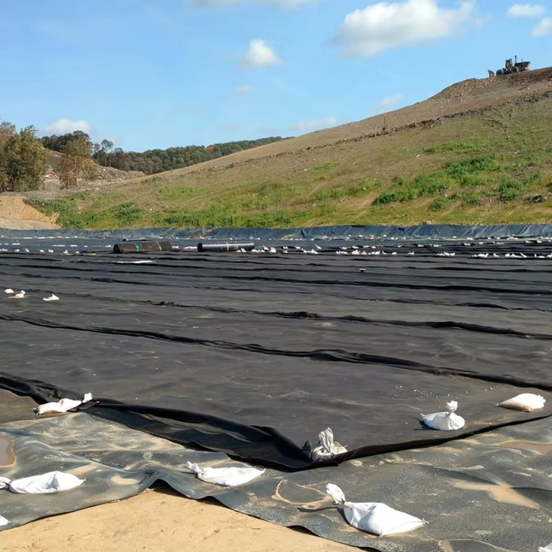 HDPE double-sided geomembrane