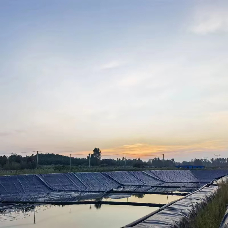 HDPE textured geomembrane