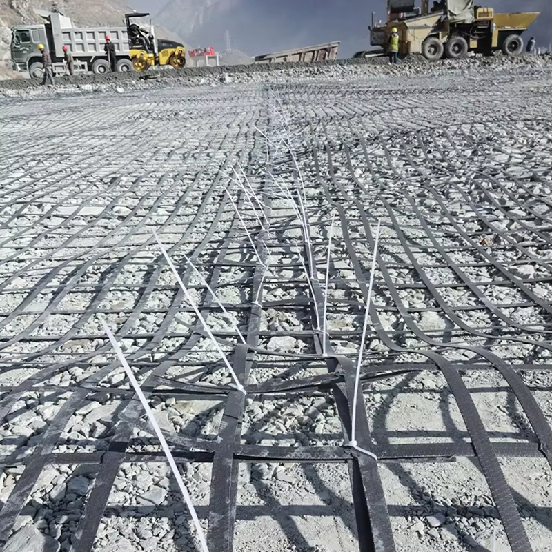 Steel-plastic geogrid