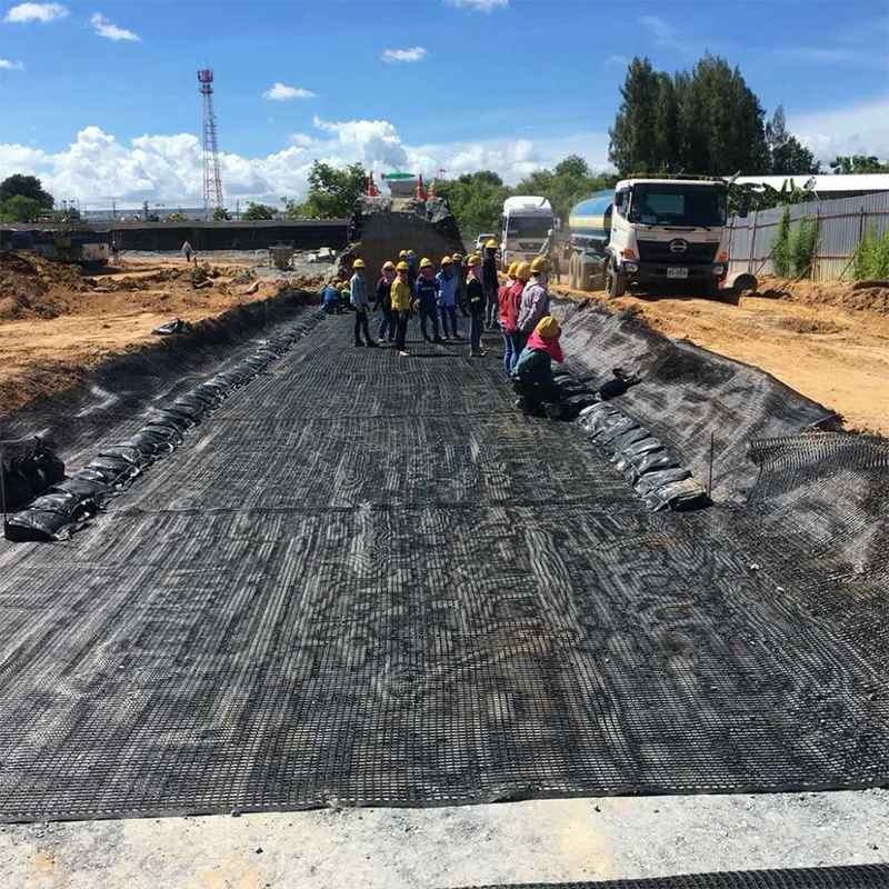 Fiberglass geogrid