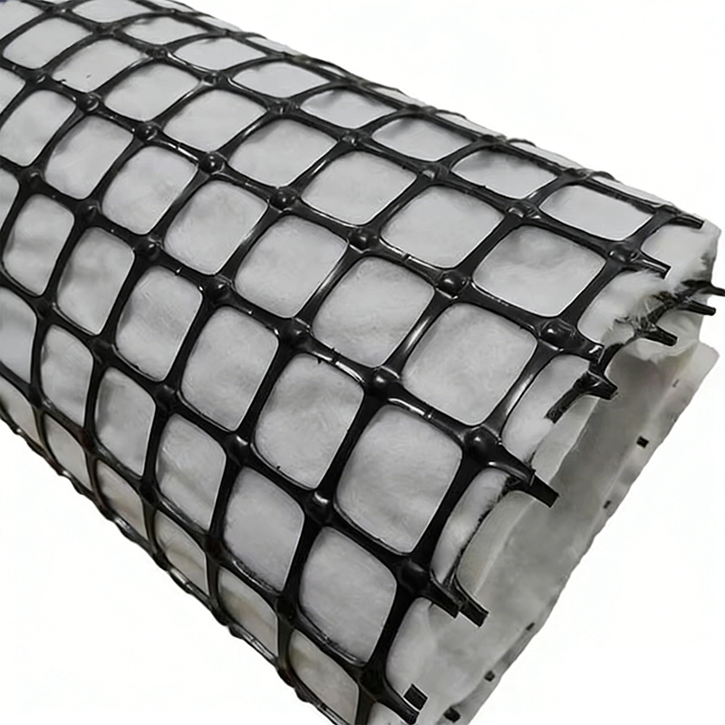 Composite geotextile and geogrid