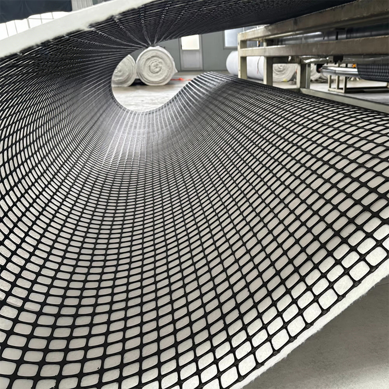 Composite geotextile and geogrid