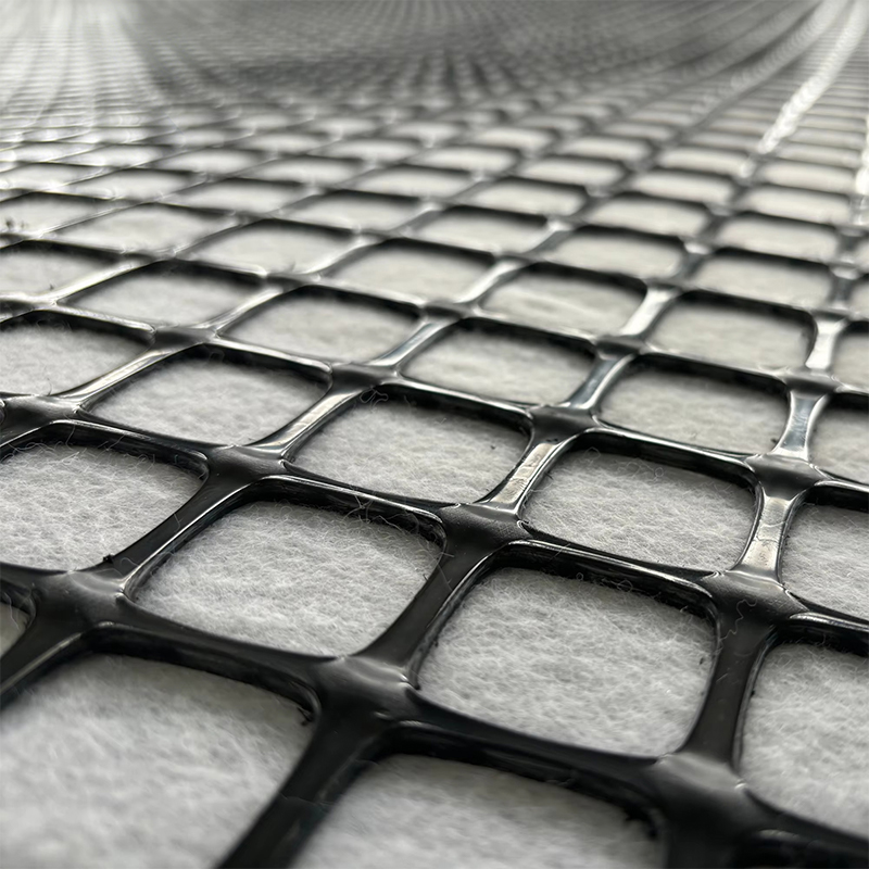 Composite geotextile and geogrid