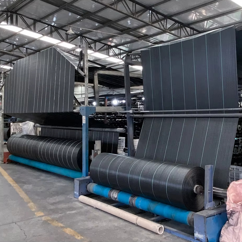 Agricultural Black PP Woven Non-woven Fabric