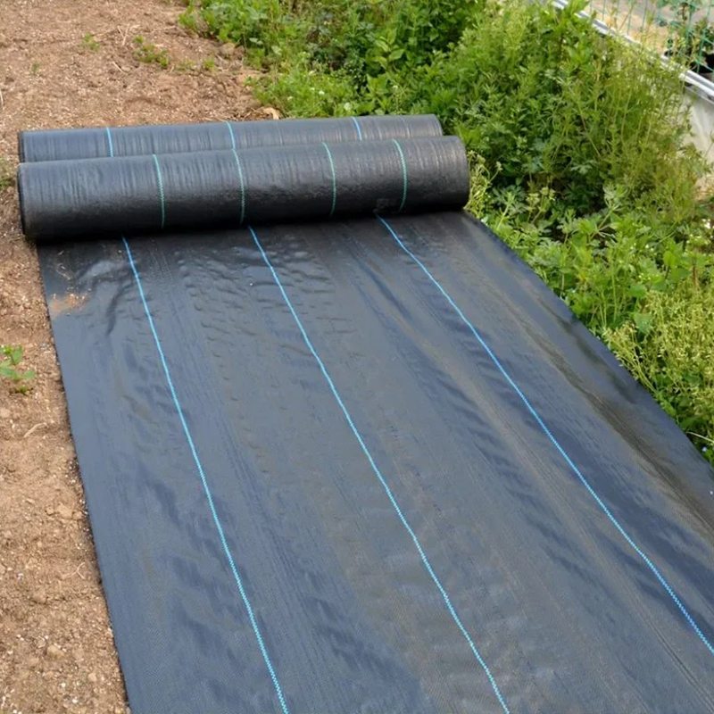 Agricultural Black PP Woven Non-woven Fabric