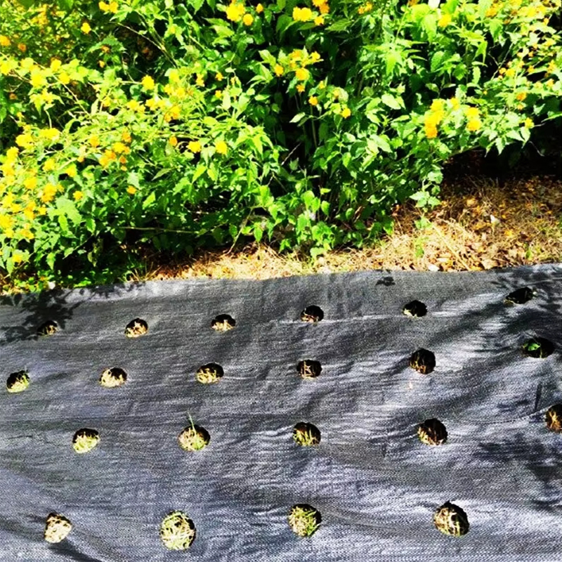 PP Woven Weed Control Fabric