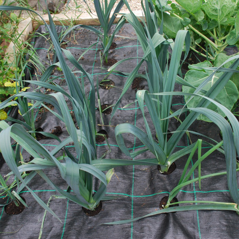 PP Woven Weed Control Fabric