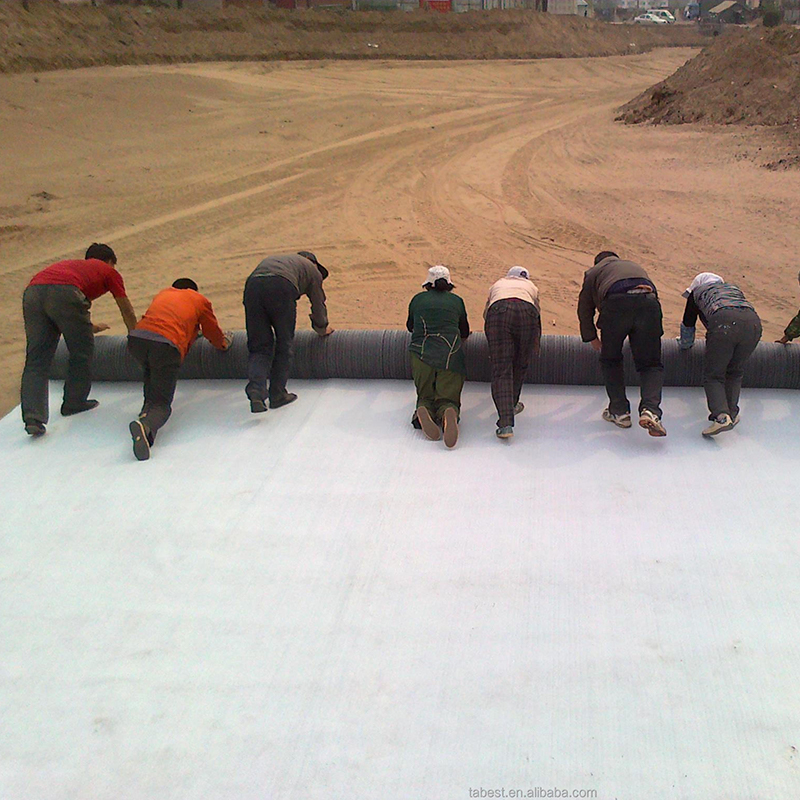 Waterproof Bentonite Roll Geosynthetic Clay Liners