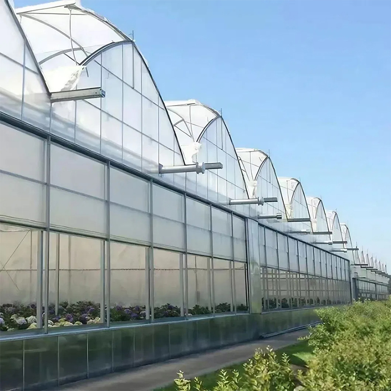 Agricultural Waterproof Polyethylene Greenhouse Film for Vegetable Crop