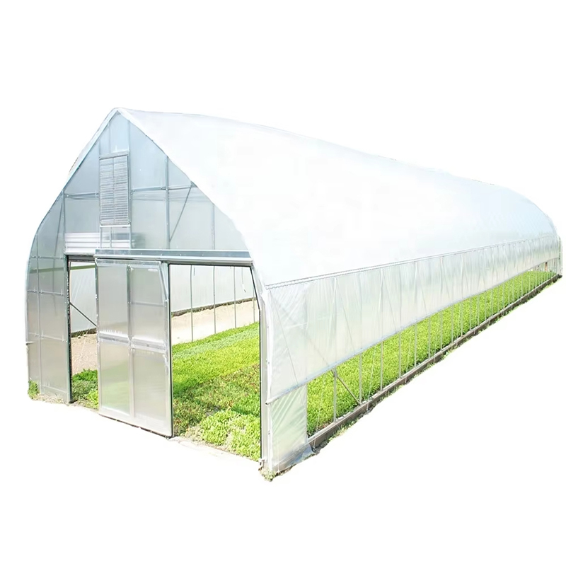 0.5m-14m Anti Drip Greenhouse Film with Vegetable Garden
