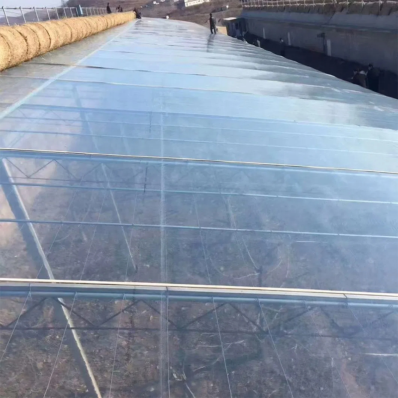 0.5m-14m Anti Drip Greenhouse Film with Vegetable Garden