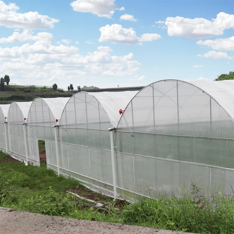 0.5m-14m Anti Drip Greenhouse Film with Vegetable Garden