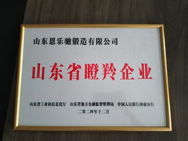 Gazelle enterprises in Shandong Province