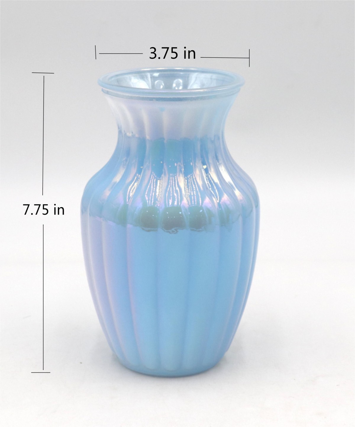 IMG_1381_看图王(1).png