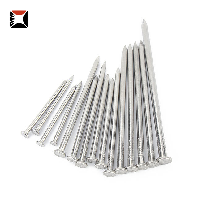Stainless Steel Steel Nail