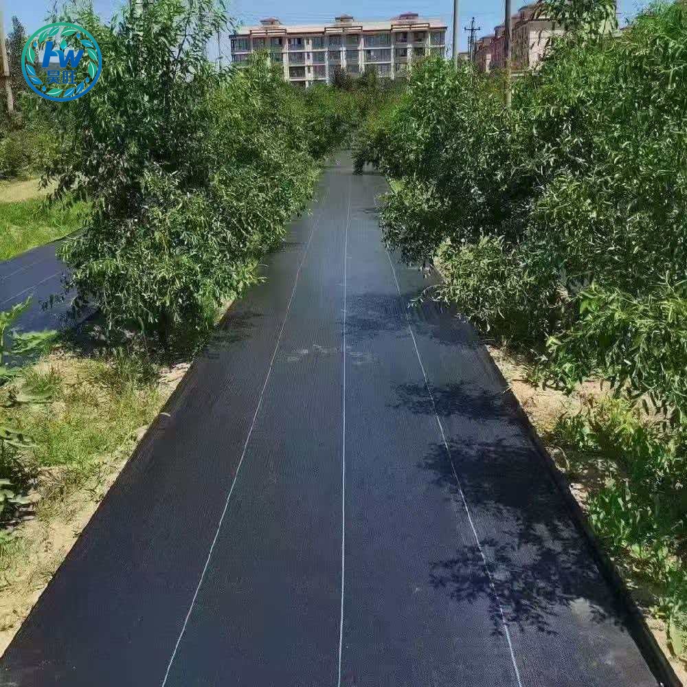 Woven Geotextile