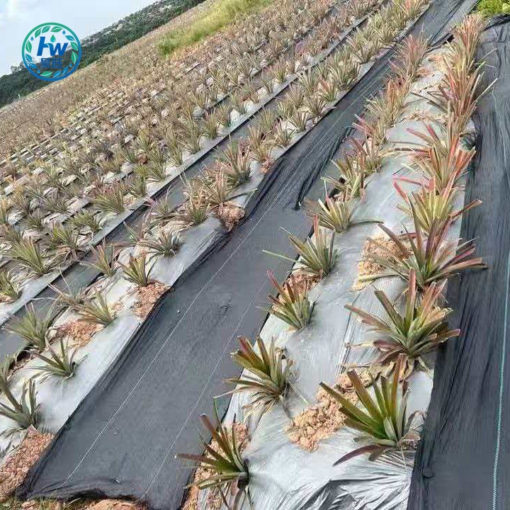 Woven Geotextile