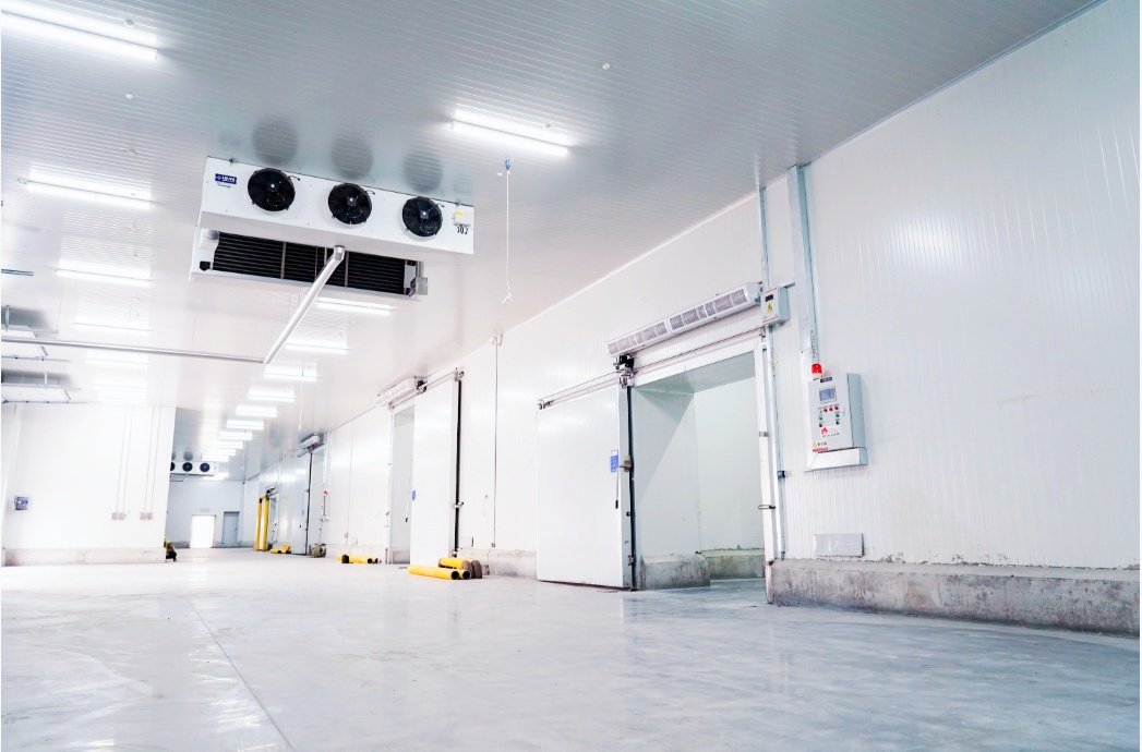 1758166191827142717364994048.png Steel Structure Cold Storage Workshop for Cold Chain Logistics