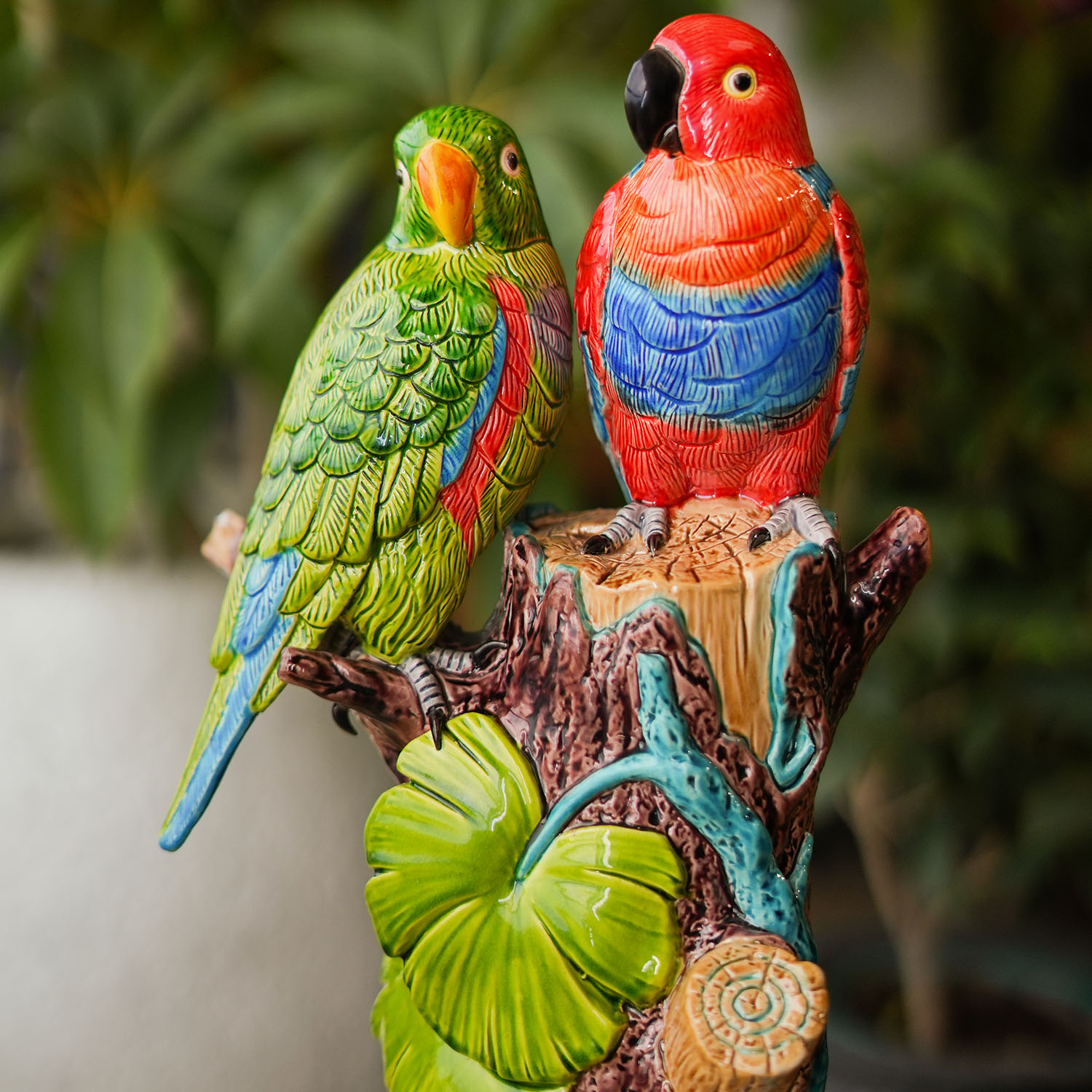 鹦鹉Parrot