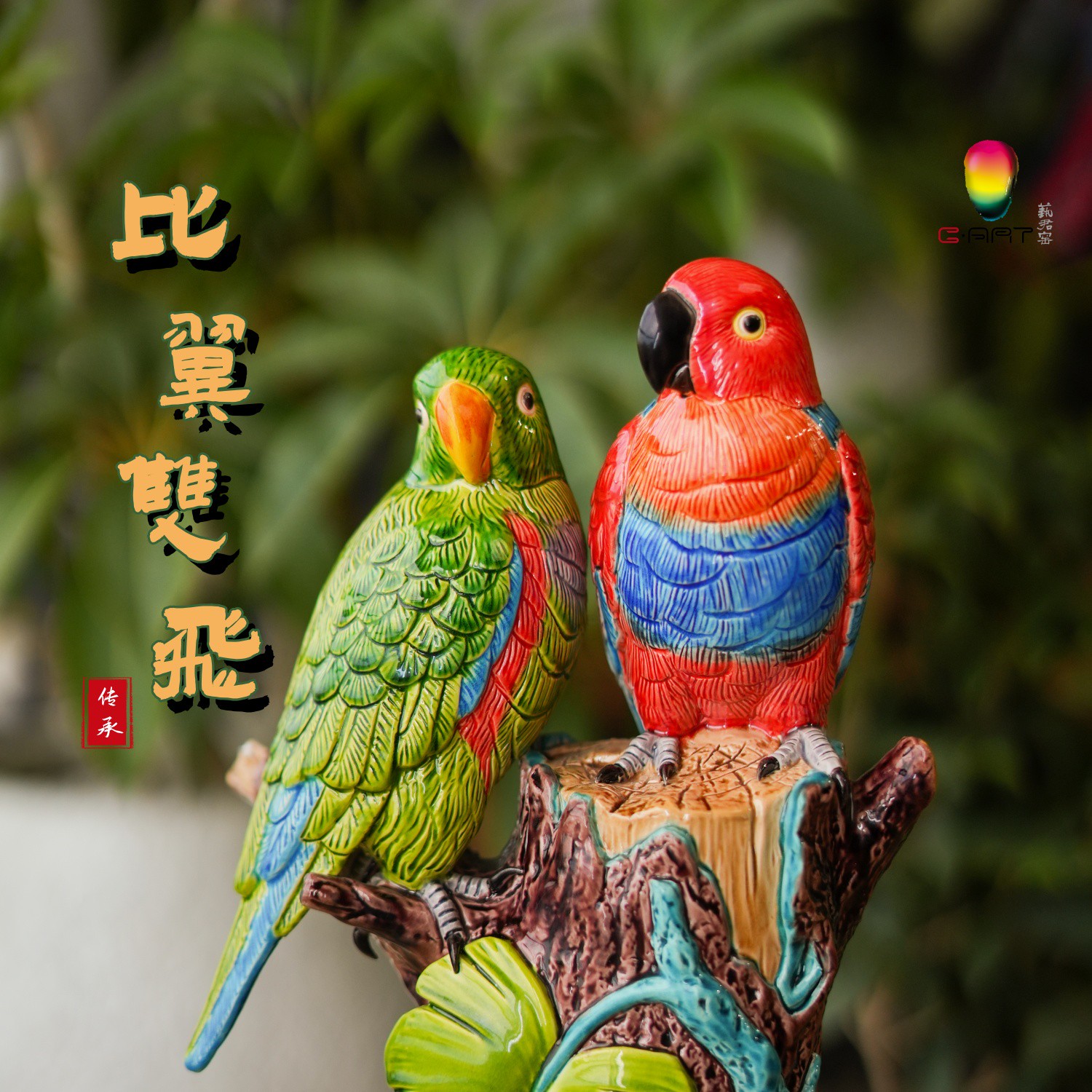 鹦鹉Parrot