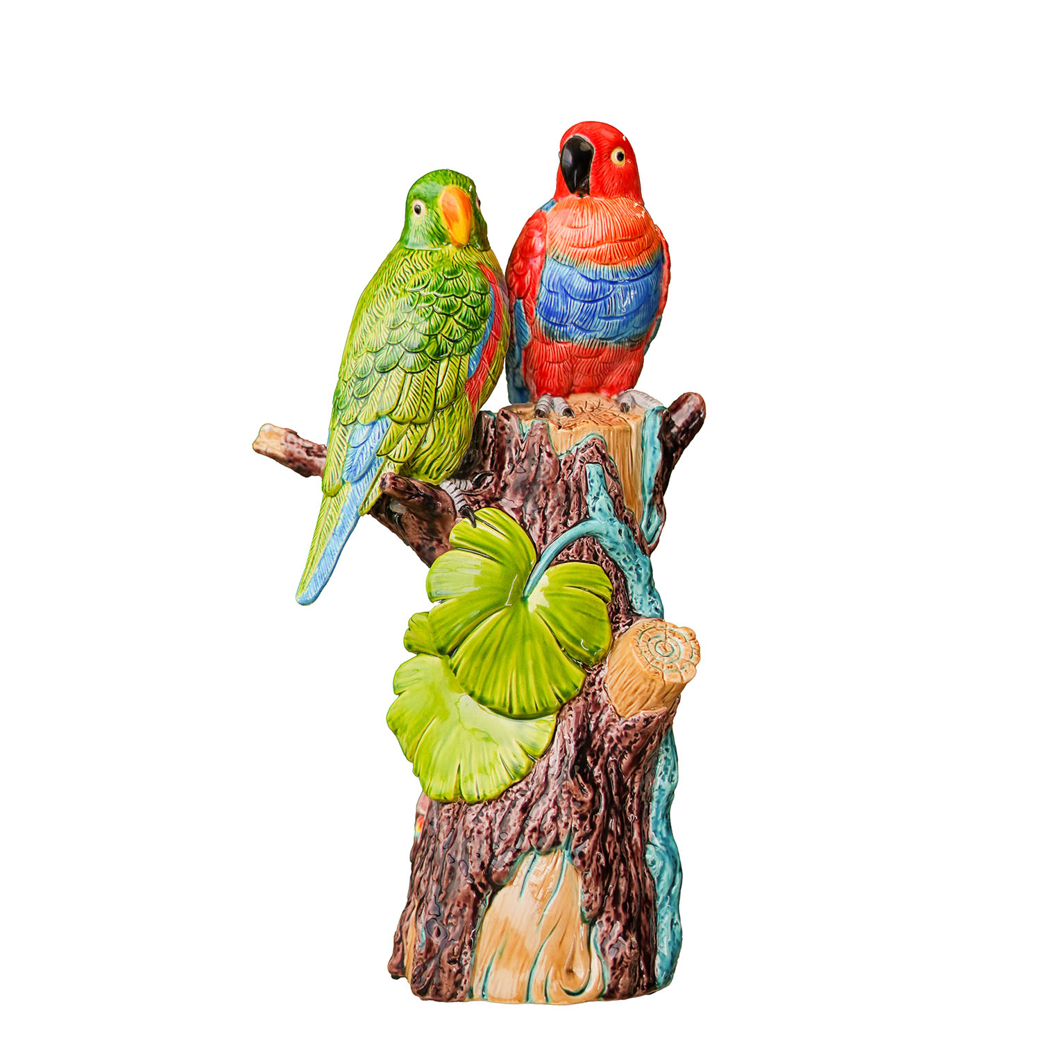 鹦鹉Parrot