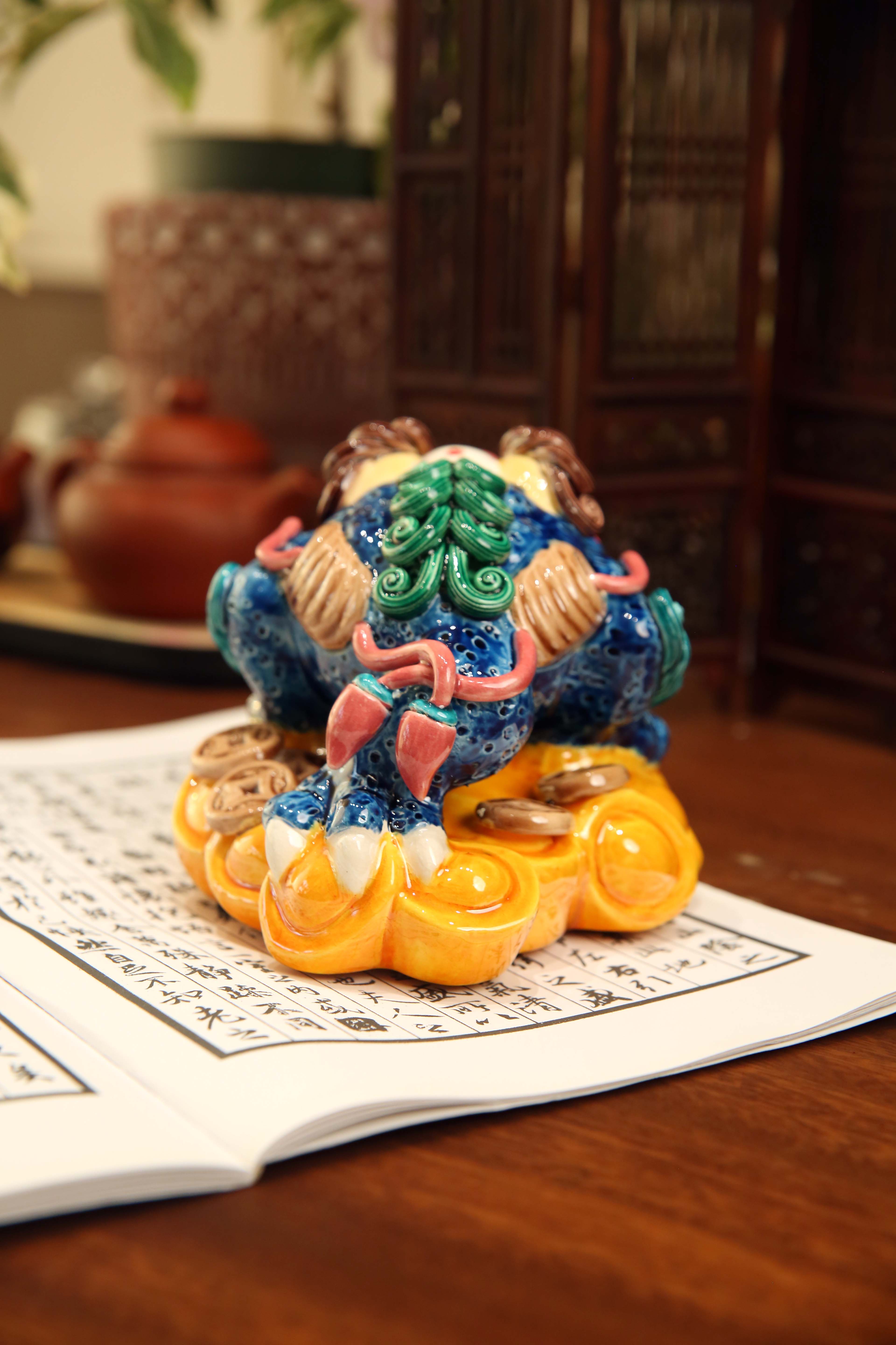 小金蟾Little Golden Toad