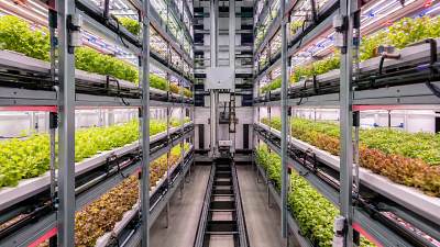 Vertical farming technology trends that actually change yield