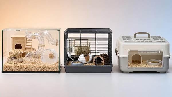 Small Animal Habitats: Glass, Wire, or Plastic for Daily Use?