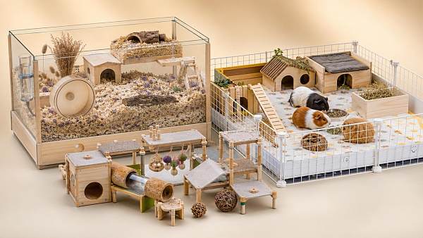 Small Animal Habitats: Which Setup Reduces Stress Best?