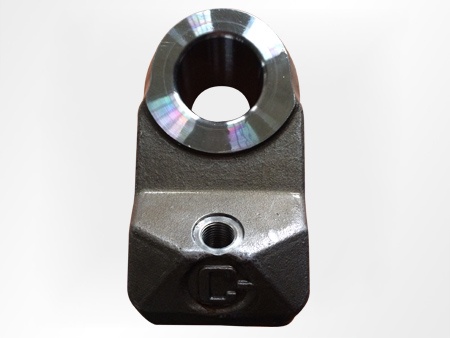 Tooth Holder