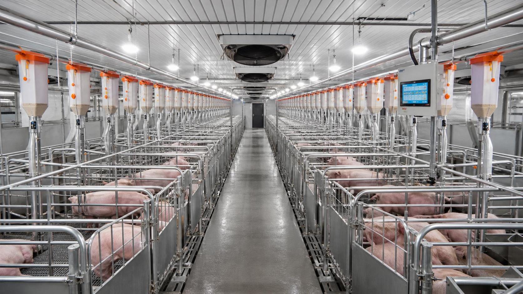 Livestock Breeding Equipment Selection Guide: Key Features for Modern Farm Upgrades