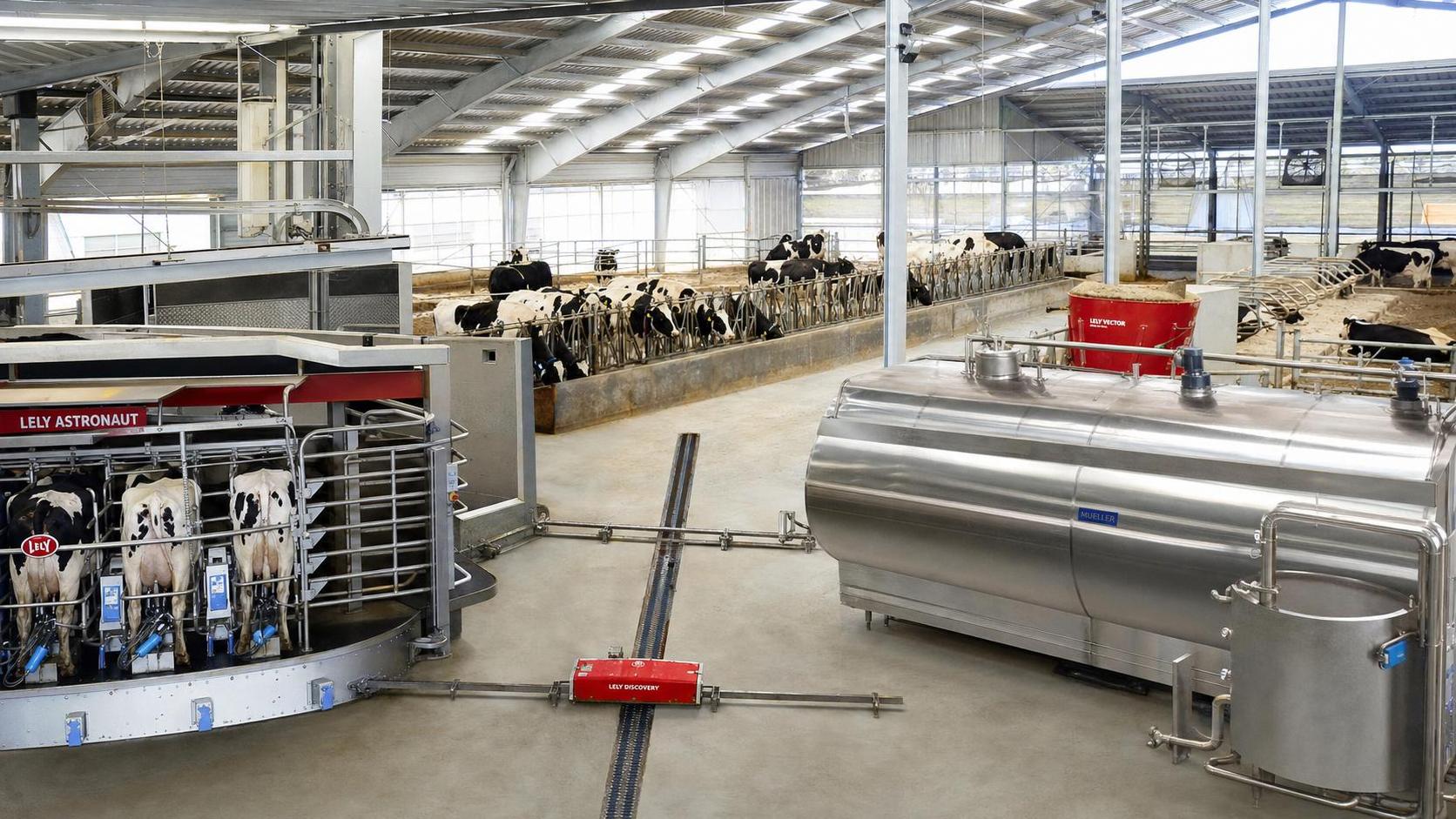 Dairy Farming Equipment USA: Key Machine Types and What to Check Before Buying