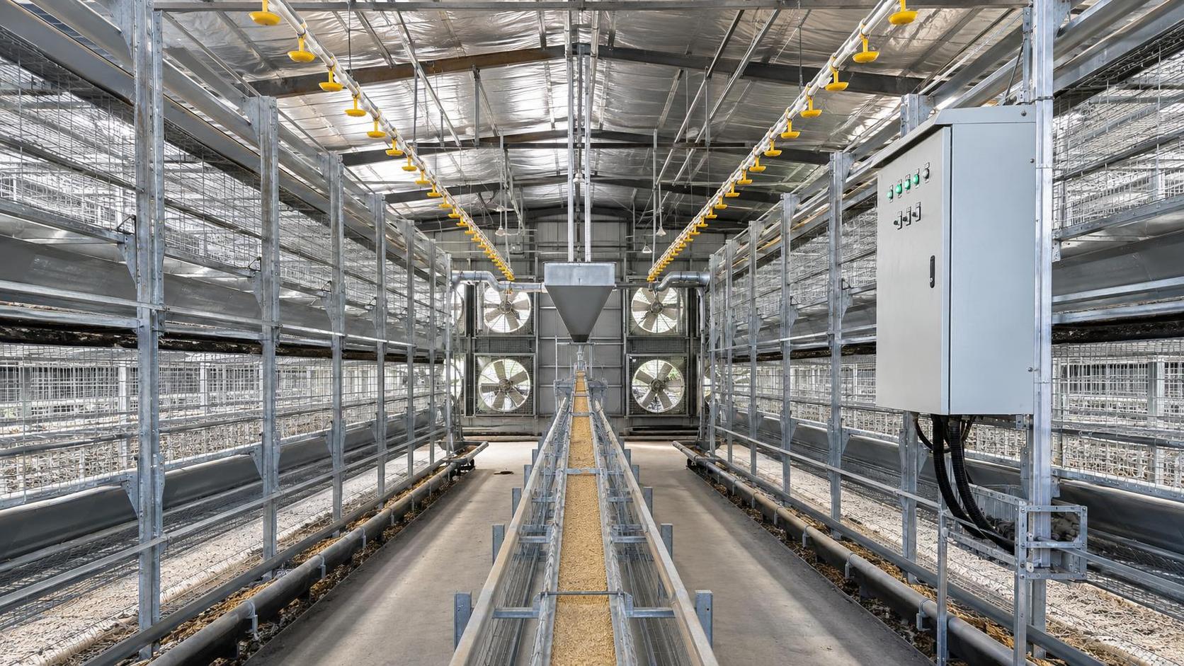 What Drives Poultry Farming Equipment Prices Beyond the Initial Quote?