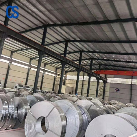 310 Stainless Strip