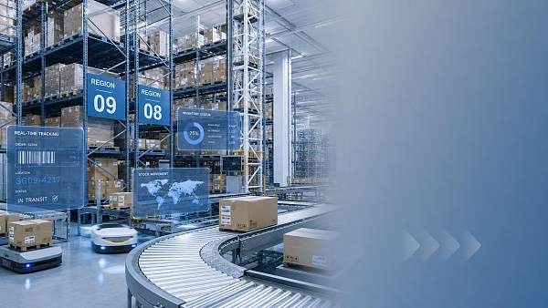 How to Choose Warehouse Management Systems for Multi-Site Inventory Control How to Choose Warehouse Management Systems for Multi-Site Inventory Control