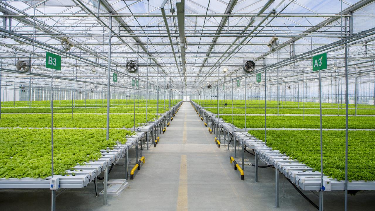 Smart Greenhouses That Scale Well Start With the Right Layout