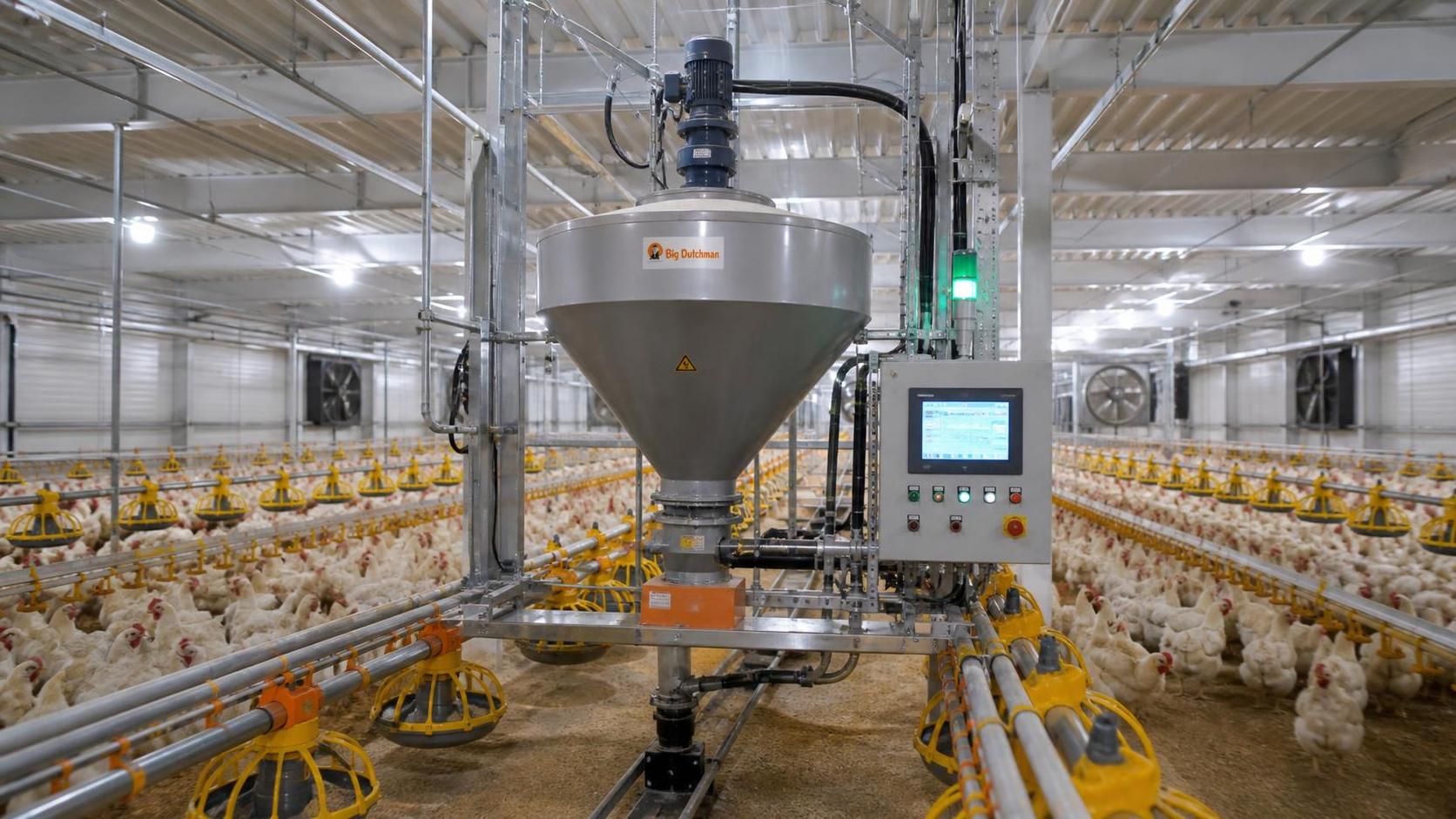 Do turnkey poultry solutions really cut startup time—or just shift hidden costs? Do turnkey poultry solutions really cut startup time—or just shift hidden costs?