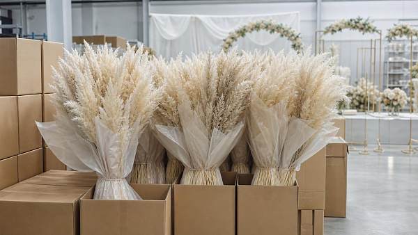 Wholesale Pampas Grass for Events: Cost and Storage Tips