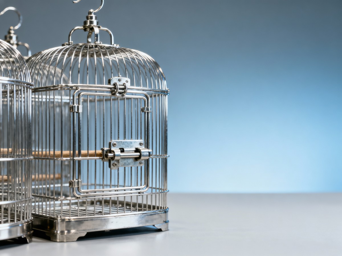 Bird cage wholesale units arriving with misaligned door latches—no one mentioned tooling drift Bird cage wholesale units arriving with misaligned door latches—no one mentioned tooling drift