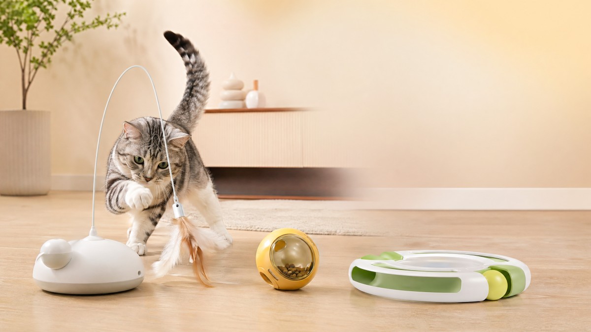 Interactive Cat Toys OEM Ideas That Keep Indoor Cats Engaged Interactive Cat Toys OEM Ideas That Keep Indoor Cats Engaged