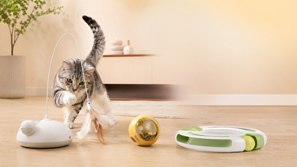 Interactive Cat Toys OEM Ideas That Keep Indoor Cats Engaged Interactive Cat Toys OEM Ideas That Keep Indoor Cats Engaged