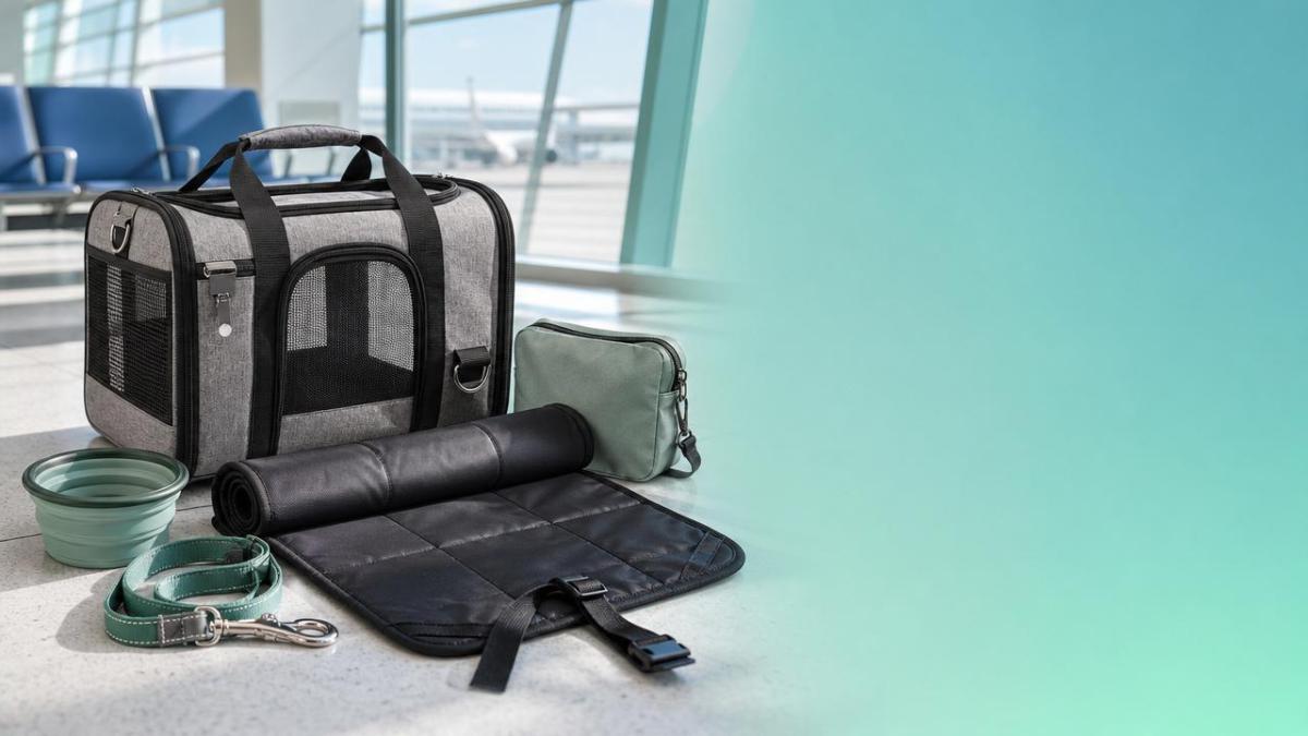Pet Industry Trends Changing Travel Accessory Sales