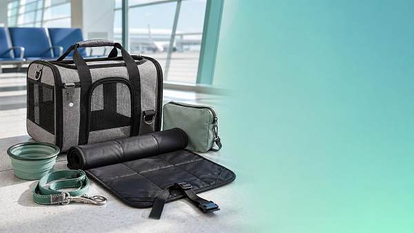Pet Industry Trends Changing Travel Accessory Sales
