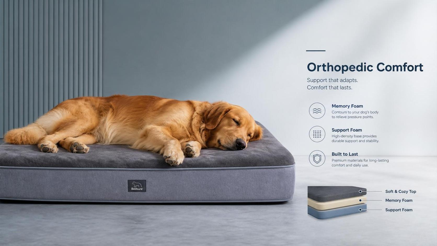 Pet Beds for Large Dogs: What Support and Fill Matter Most