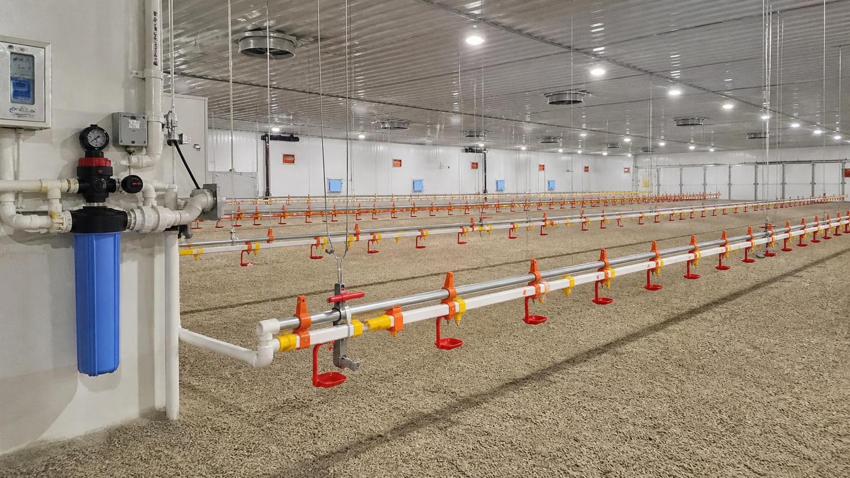 Nipple System in Poultry: What Buyers Should Check Before Farm Installation